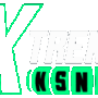 ExtremeSpins animated logo