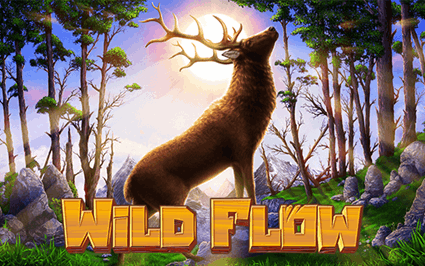 Habanero's Latest Slot Release Wild Flow