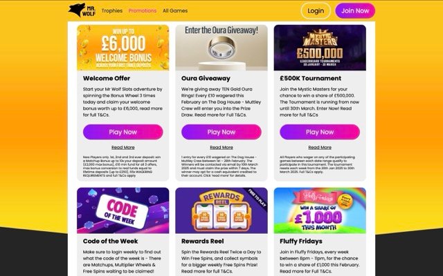 Mr Wolf Slots Bingo Promotion