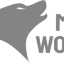 mr wold slot logo
