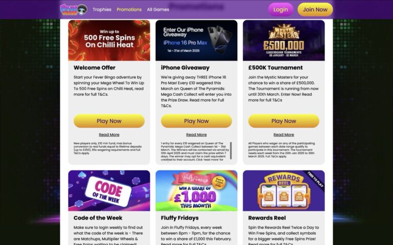 Fever Bingo Promotion